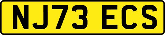 NJ73ECS