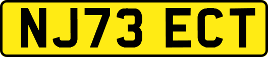 NJ73ECT