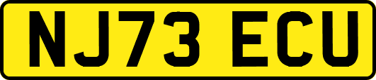 NJ73ECU