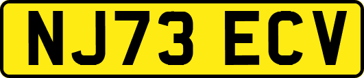 NJ73ECV