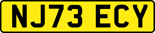 NJ73ECY