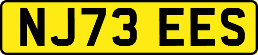 NJ73EES