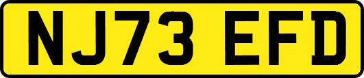 NJ73EFD