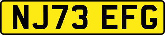 NJ73EFG