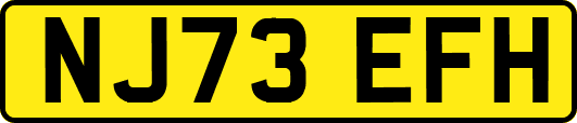 NJ73EFH