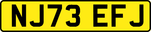 NJ73EFJ