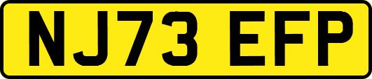 NJ73EFP