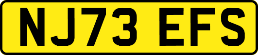 NJ73EFS