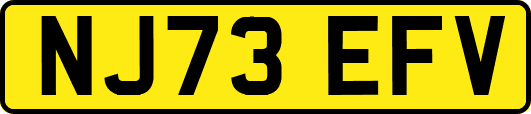 NJ73EFV