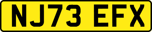 NJ73EFX