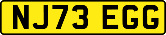 NJ73EGG