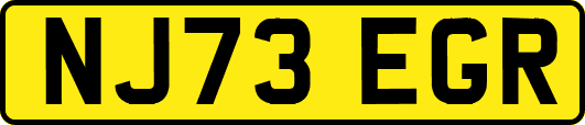 NJ73EGR