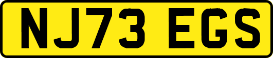 NJ73EGS