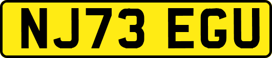 NJ73EGU
