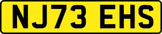 NJ73EHS