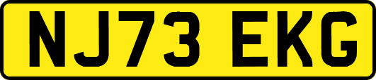 NJ73EKG