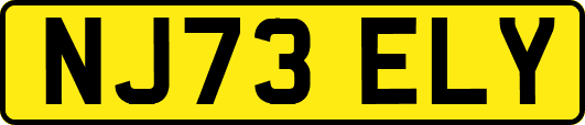 NJ73ELY