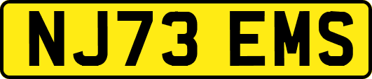 NJ73EMS