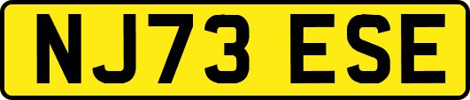 NJ73ESE