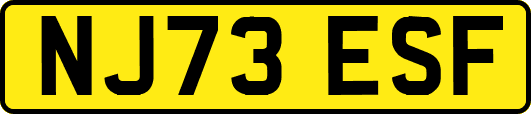 NJ73ESF