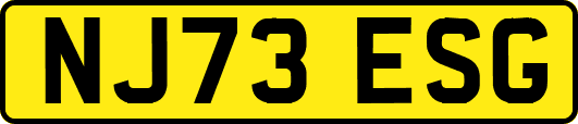 NJ73ESG
