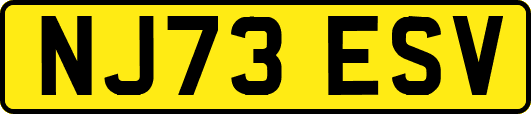 NJ73ESV