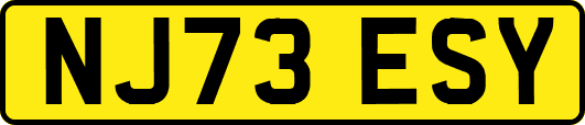 NJ73ESY