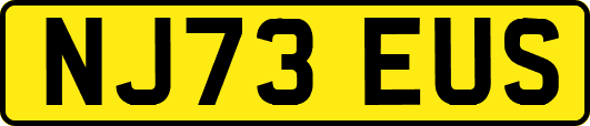 NJ73EUS