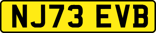 NJ73EVB