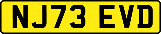 NJ73EVD