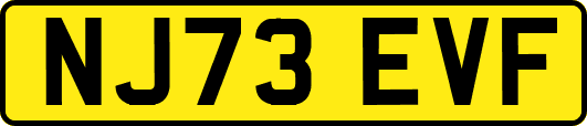 NJ73EVF