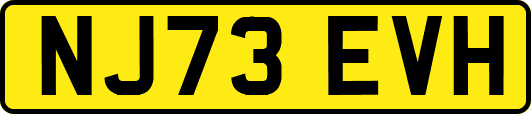 NJ73EVH