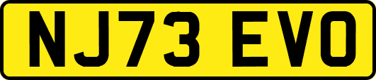 NJ73EVO