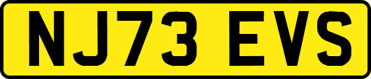 NJ73EVS