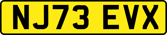 NJ73EVX