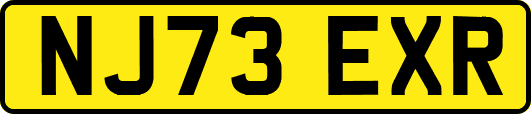 NJ73EXR