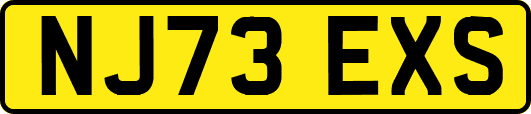 NJ73EXS