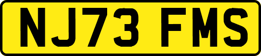 NJ73FMS