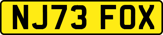 NJ73FOX