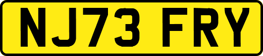 NJ73FRY