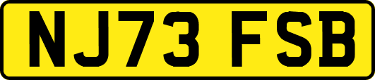 NJ73FSB
