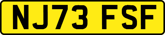 NJ73FSF