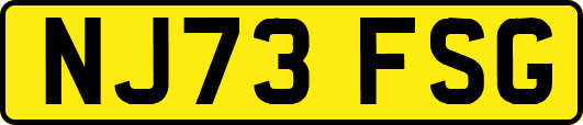 NJ73FSG