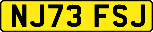 NJ73FSJ