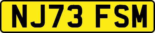 NJ73FSM