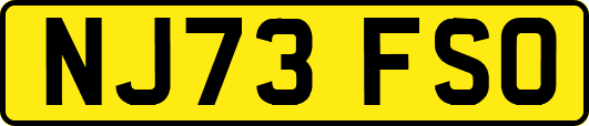 NJ73FSO