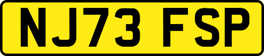 NJ73FSP