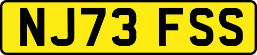 NJ73FSS