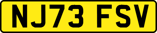 NJ73FSV