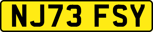 NJ73FSY